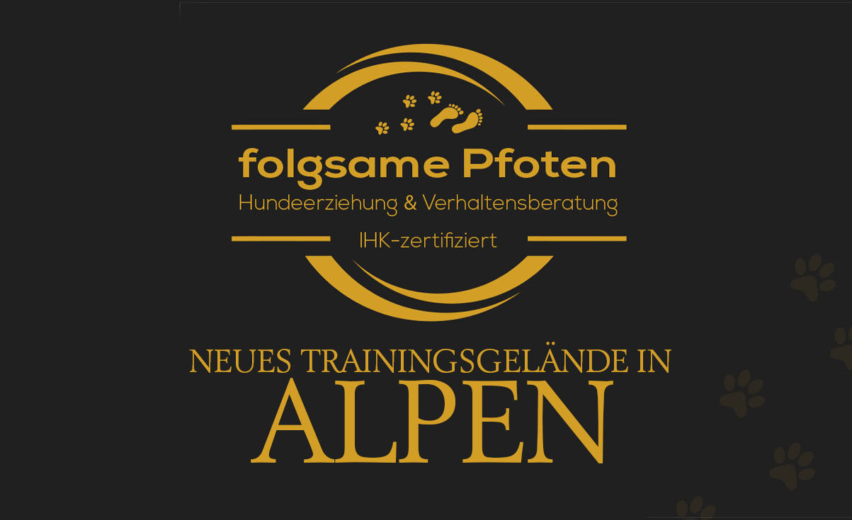 Flogsame-Pfoten-Trainingsgelaende-Alpen-News