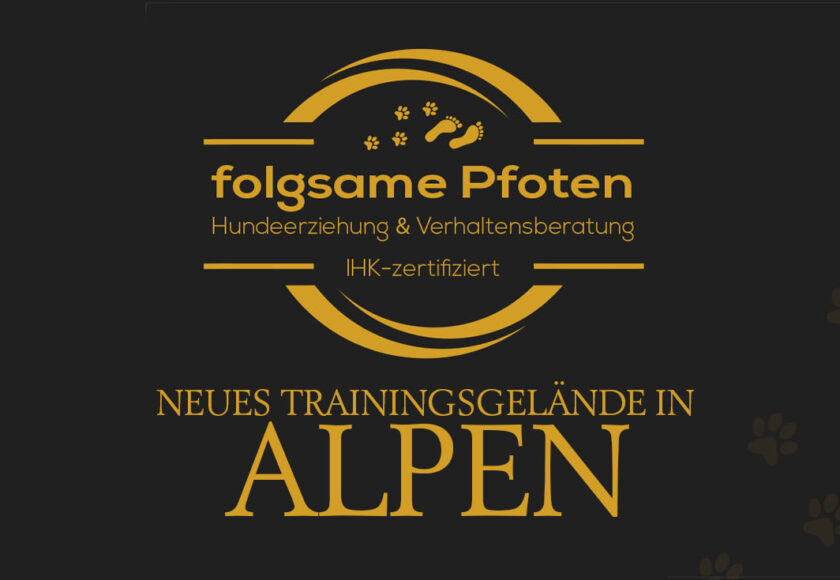 Flogsame-Pfoten-Trainingsgelaende-Alpen-News